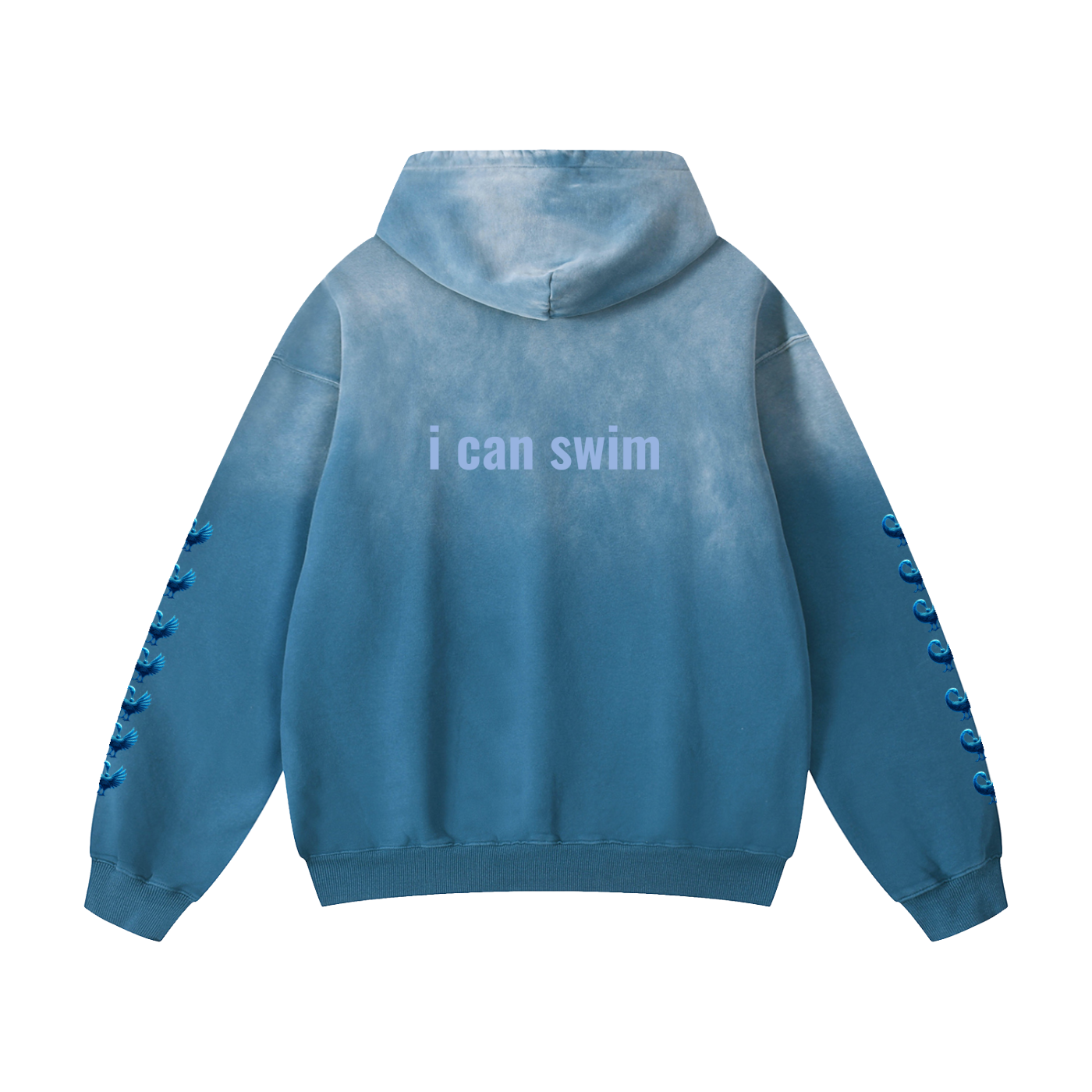 icanswim Hoodie